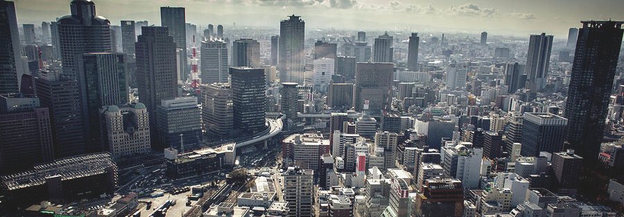 Concrete Jungle